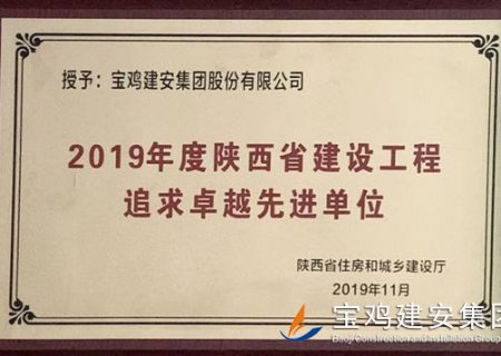 2019年度陜西省建設工程追求卓越先進單位